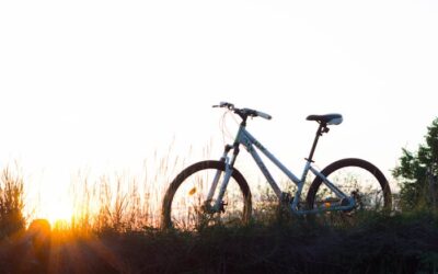 Vélo dans le Tarn : itinéraires, conseils et points d’intérêt